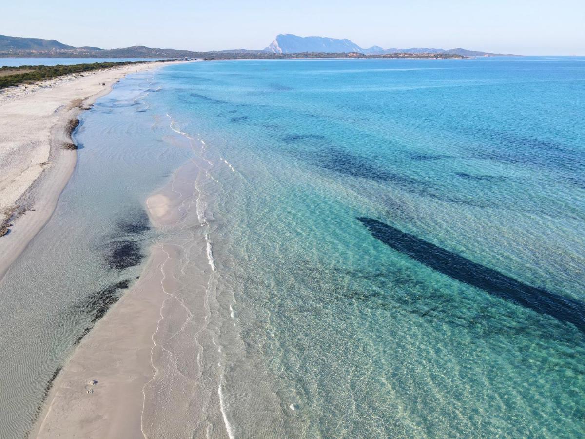 Iss Travel, Villa Fiorita - 800 M From La Cinta Beach San Teodoro  Kültér fotó